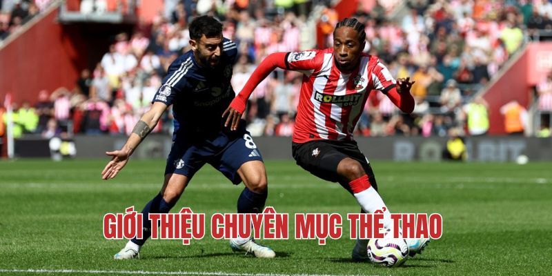 Giới thiệu chuyên mục thể thao 8KBET